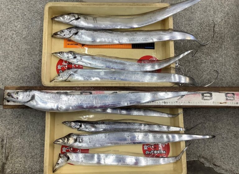 釣果