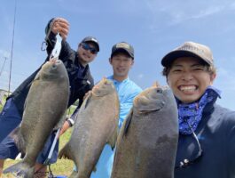 怪魚！コロソマ釣り！（スタッフ釣果）