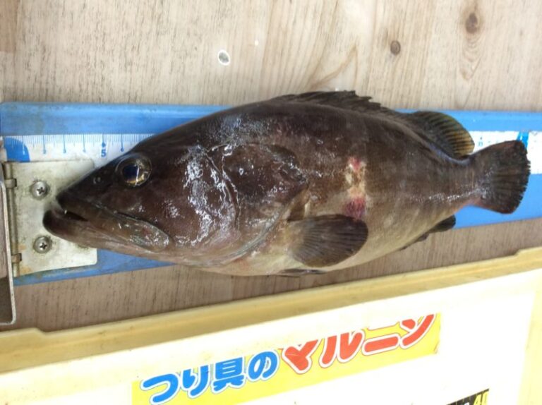 釣果