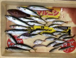 雑賀崎にて五目釣り