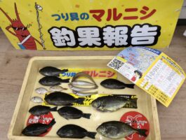 【おさかなチャレンジ】雑賀崎にてフカセ＆ブッコミ釣果！