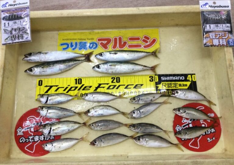 釣果