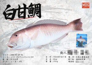 【デジタル魚拓】制作事例 No.061“白甘鯛”