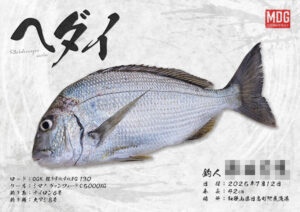 【デジタル魚拓】制作事例 No.060“ヘダイ”