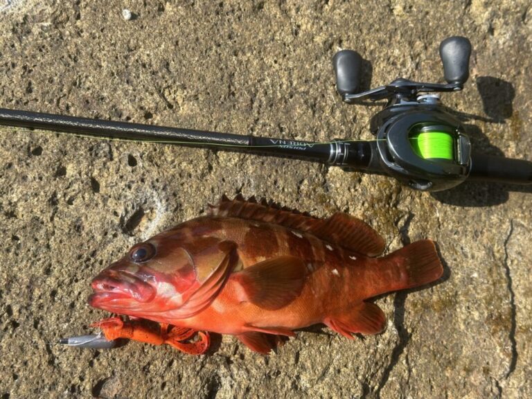 釣果