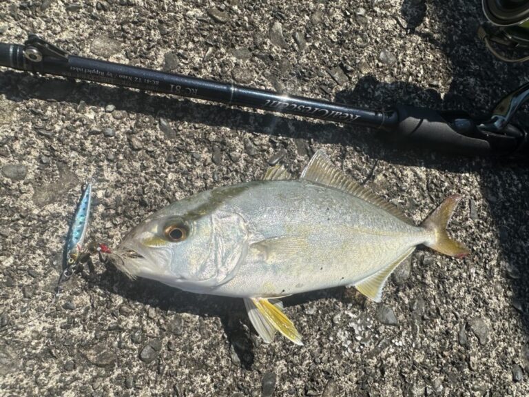 釣果