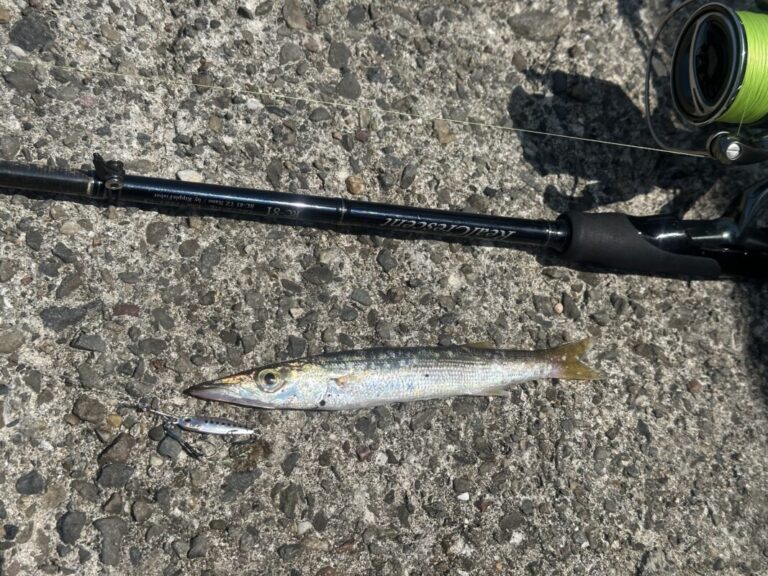 釣果