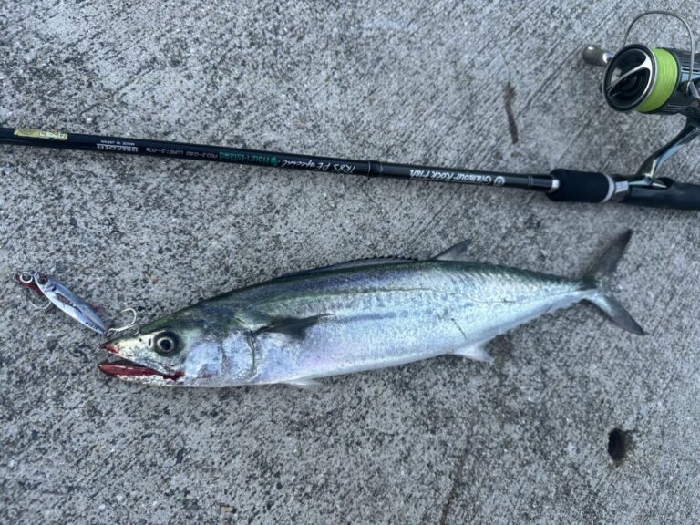 釣果