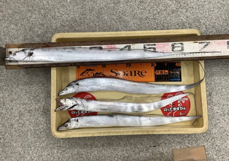 釣果