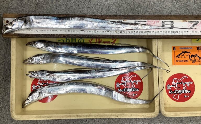 釣果
