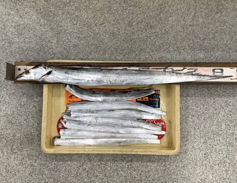 釣果