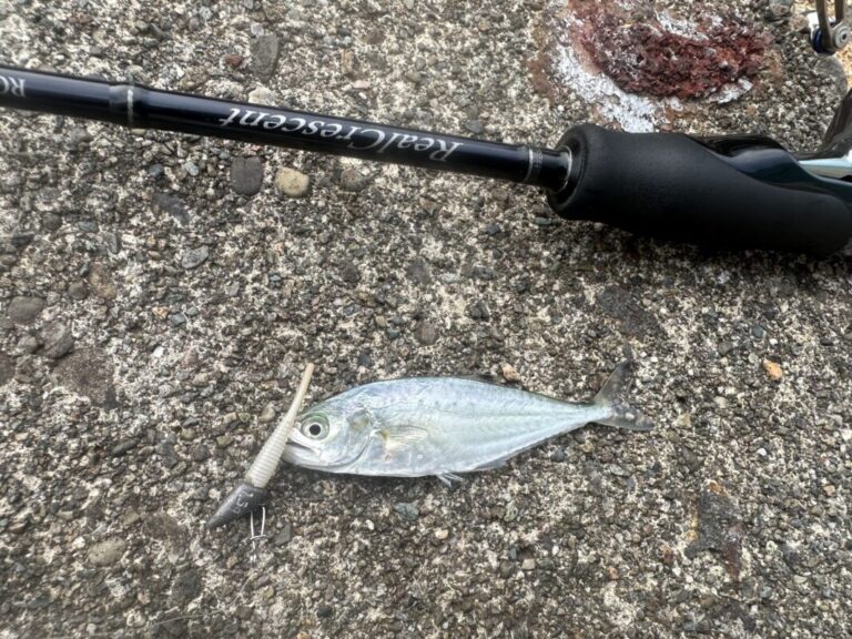 釣果