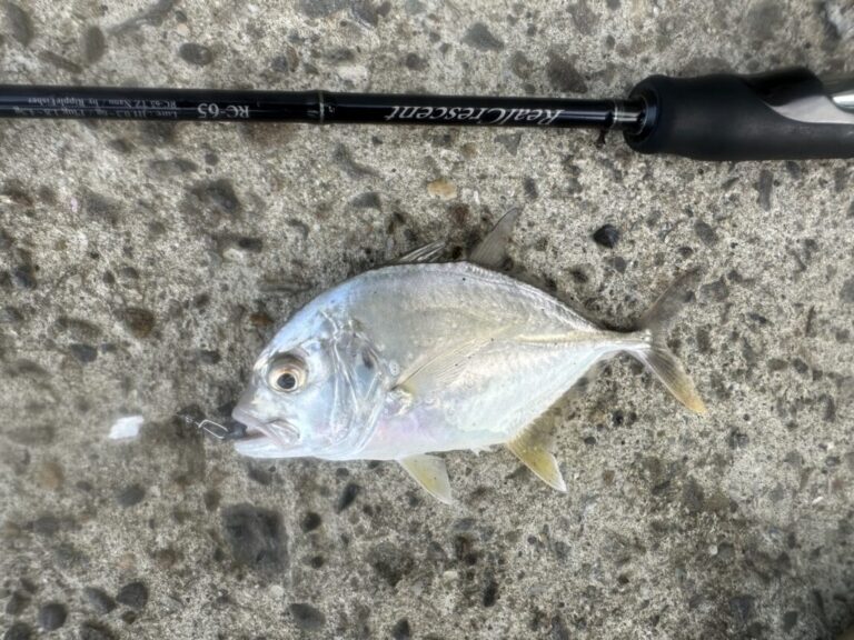 釣果