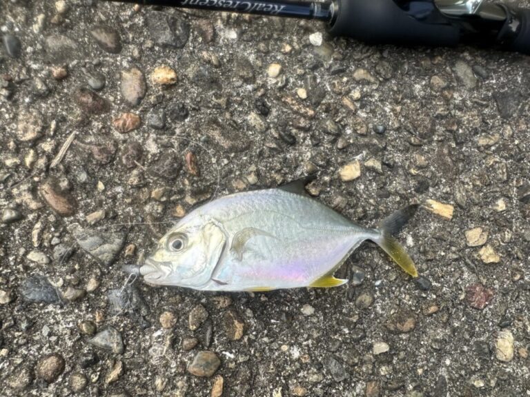 釣果