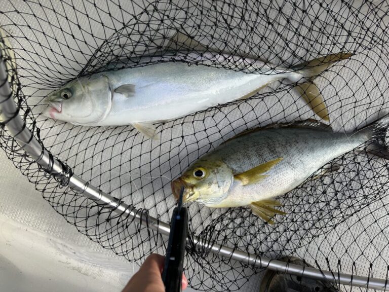 釣果