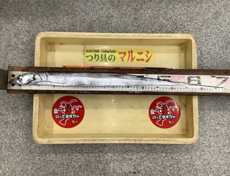 釣果