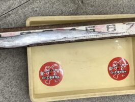 水軒にて[太刀魚ダービーエントリー]