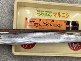 水軒にて[太刀魚ダービーエントリー]