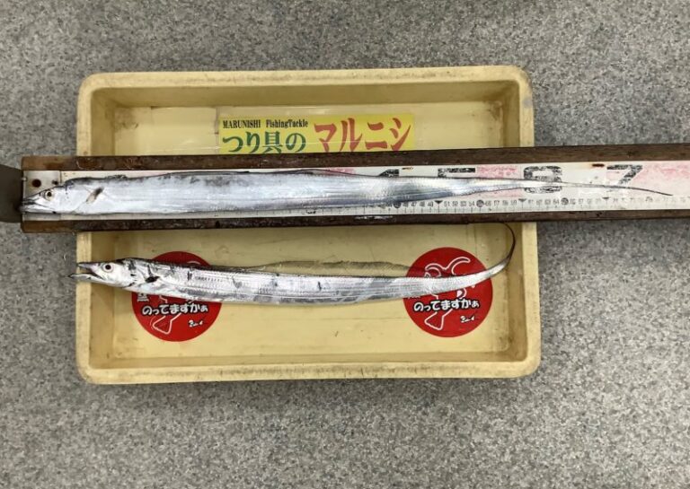 釣果