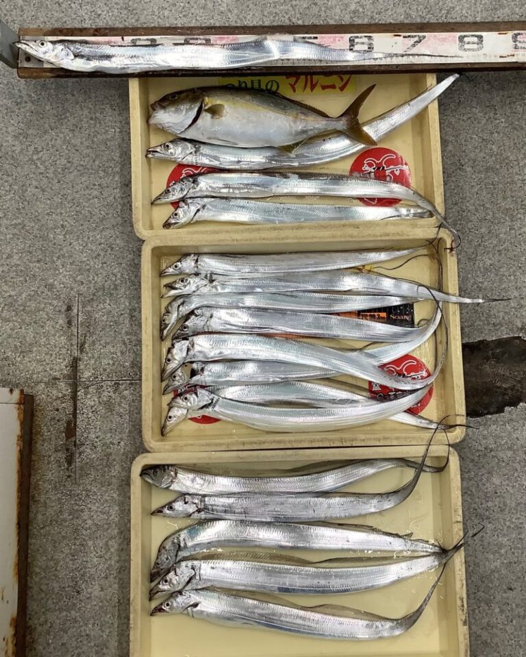 釣果