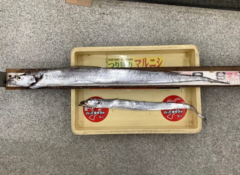 釣果