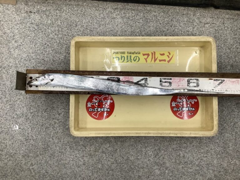 釣果