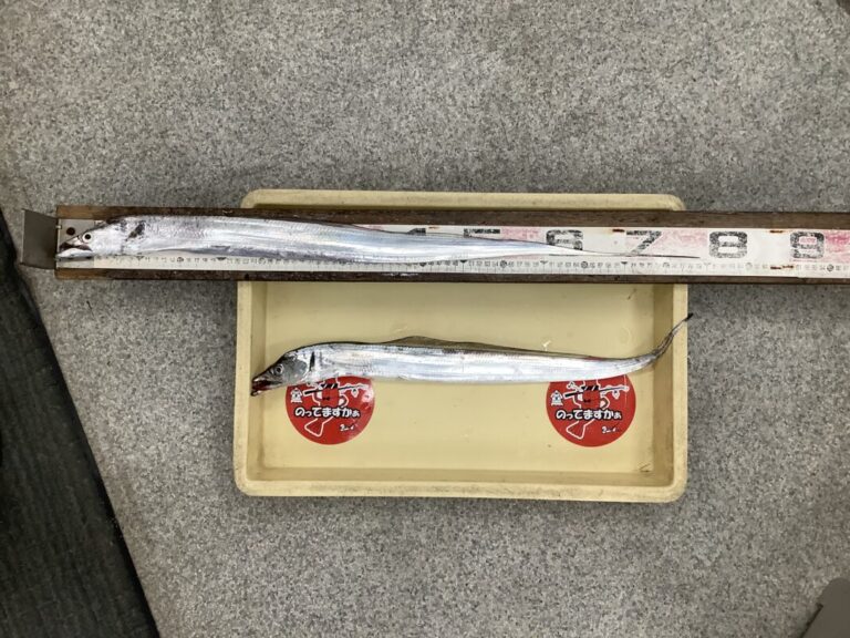 釣果