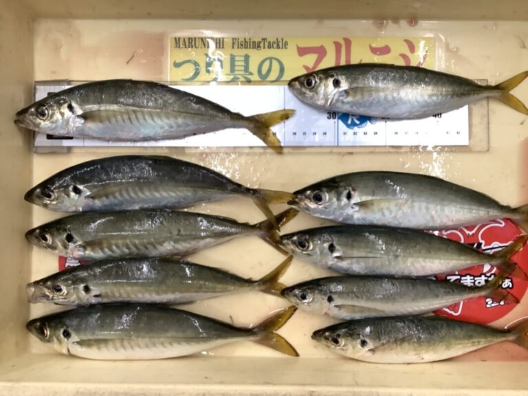 釣果