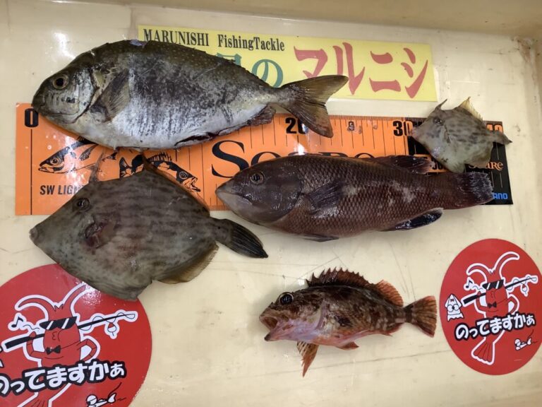 釣果