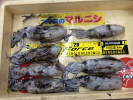 中紀にてエギング釣果！