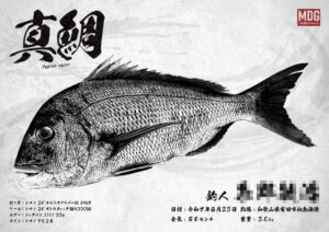 【デジタル魚拓】制作事例 No.063“真鯛”