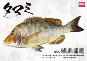 【デジタル魚拓】制作事例 No.062“タマミ”