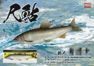 【デジタル魚拓】制作事例 No.064“尺鮎”