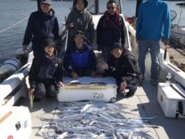 ダイワ船タチウオテンヤ釣行!