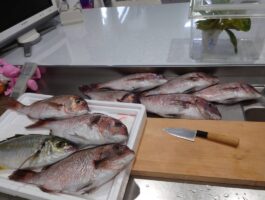 【スタッフ釣行】初心者でも安心！海上釣堀へ！