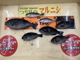 田ノ浦にて