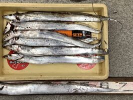 紀ノ川河口にて!