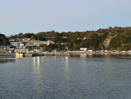 【スタッフ釣行】雑賀崎アジ上向きです！