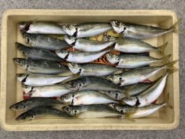 マリーナシティにて