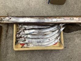 紀ノ川河口にて！