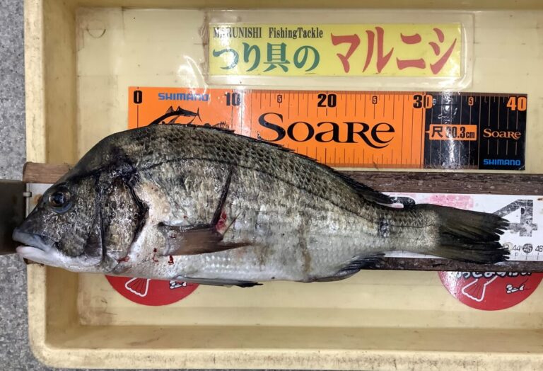 釣果