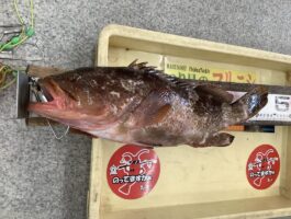ノマセ釣り！