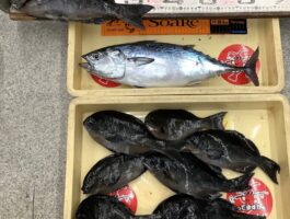 【チヌ・グレダービー】フカセ釣り！