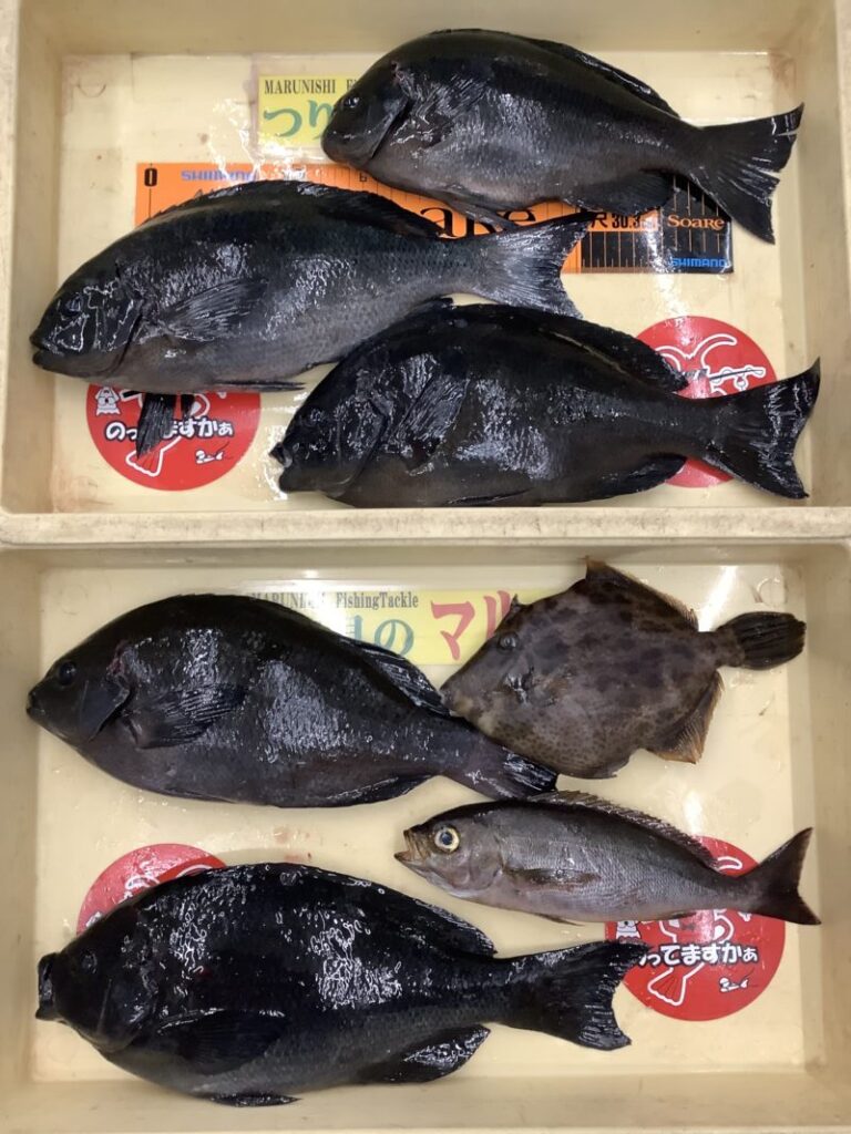 釣果
