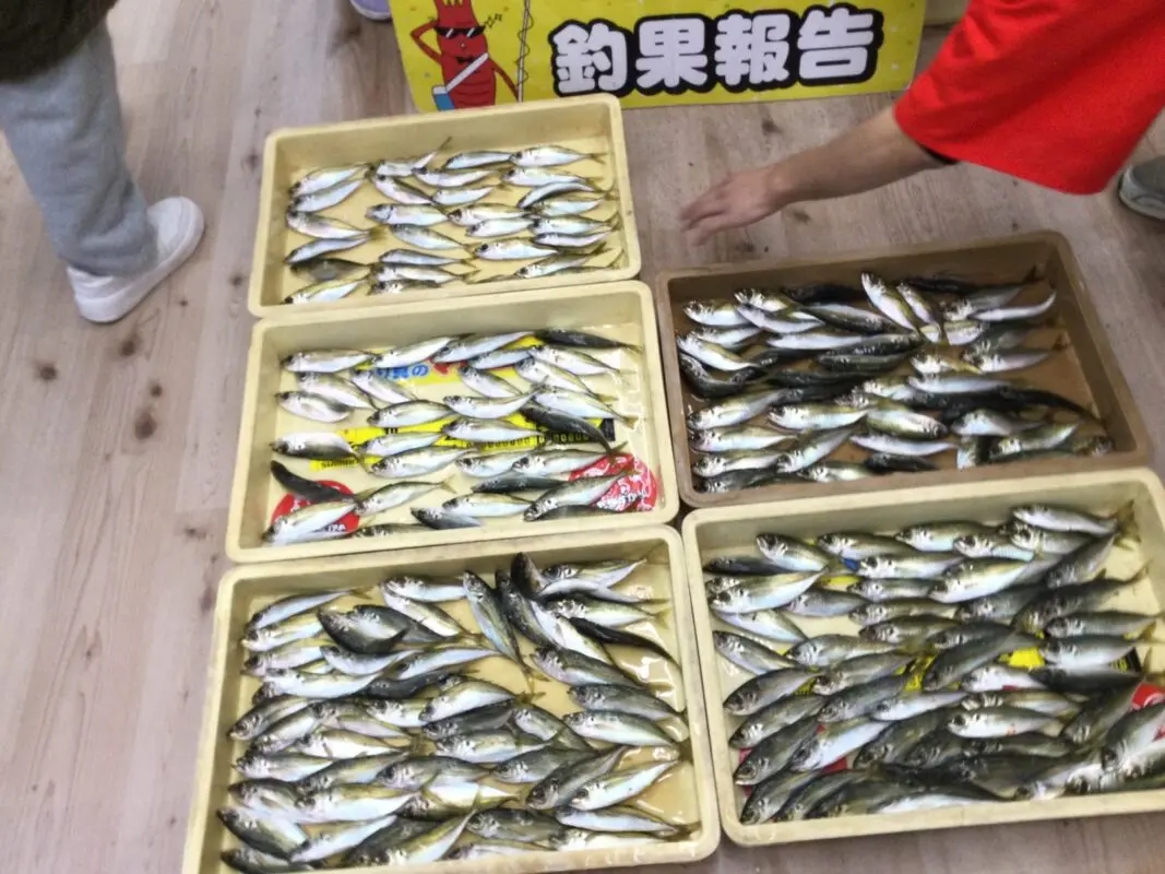 Rubiiさま専用ページ 市内にてサビキ釣果！ - 株式会社つり具のマルニシ