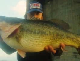 【スタッフ釣果】紀ノ川に怪物現る！11lb12oz自己記録更新