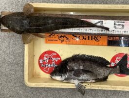 紀ノ川河口にて！